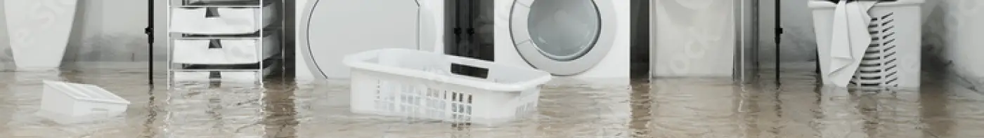 domain-intervention-02